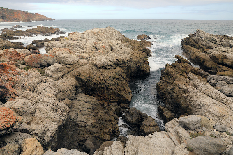 Shellfish facts pinnacle point south africa