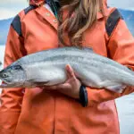 Ode to the Copper River Salmon